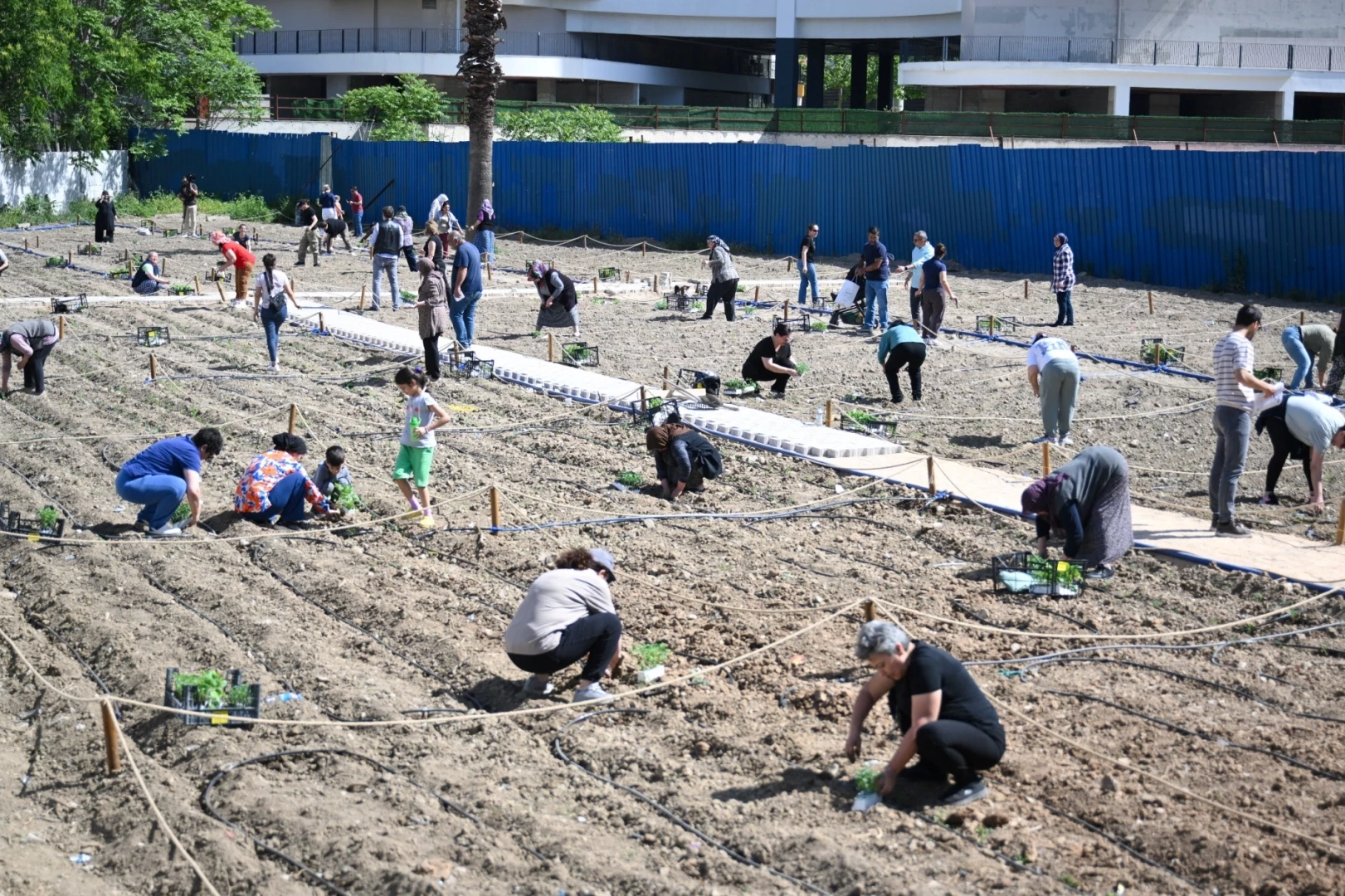İkinci Kent Bostanı Koşukavak’ta açıldı