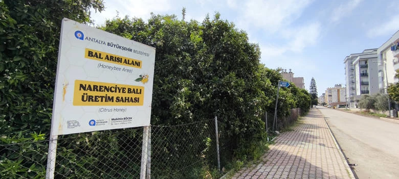 Narenciye balı koruma altında