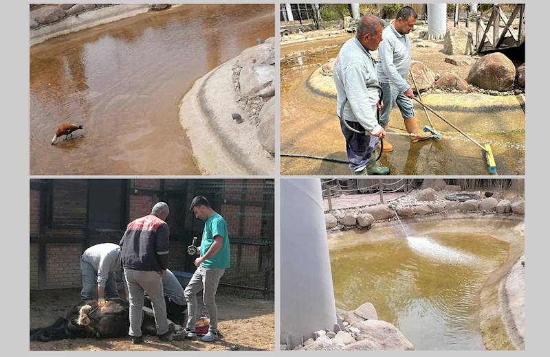 GÜZLER EVCİL HAYVAN PARKI’NDAKİ BAKIM VE TEMİZLİK İŞLERİ AKSATILMADAN DEVAM EDİYOR