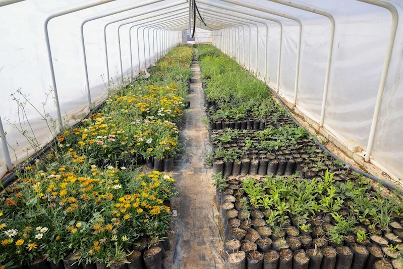 BAŞKAN KAVUŞ: “MERAM’IN YEŞİLİNE SAHİP ÇIKIYOR, GELECEĞE NEFES OLUYORUZ”