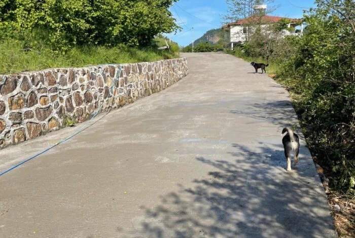 ÇATALPINAR MAHALLESİ’NDE BETON YOL ÇALIŞMASI