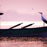 ‘Uluslararası Bursa Leylek Şenliği’ başlıyor