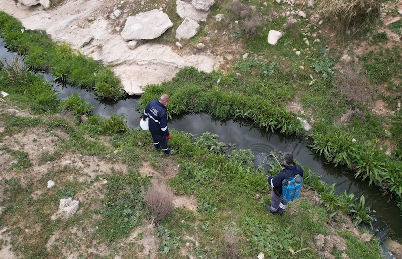 Adana Büyükşehir Belediyesi Haşereyle Mücadeleyi Yoğun Şekilde Sürdürüyor