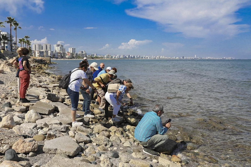 Büyükşehir, Deniz ve Kıyı Yaşamı İçin Vatandaş Bilimi Etkinliğine Ev Sahipliği Yaptı
