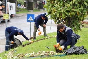 TONAMİ MEYDANI YAZA HAZIRLANIYOR