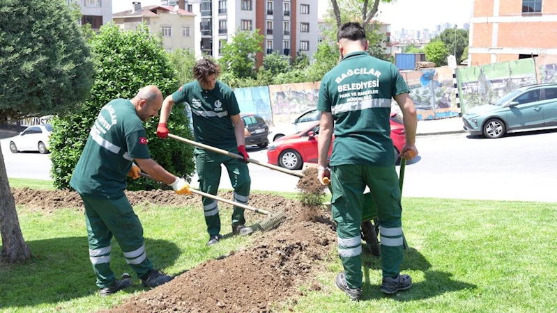 Ayda 1 Ton Kahve Posasını Gübre Olarak Değerlendiriyorlar