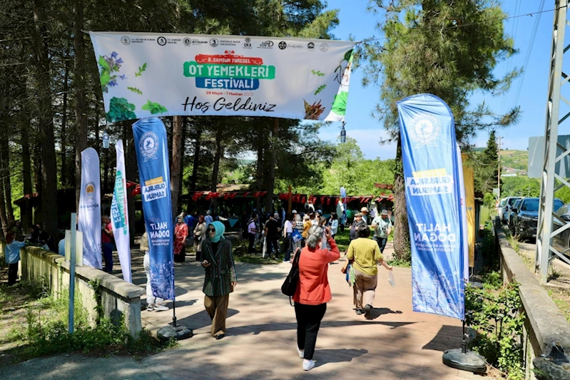 OT YEMEKLERİ FESTİVALİ BAŞLADI