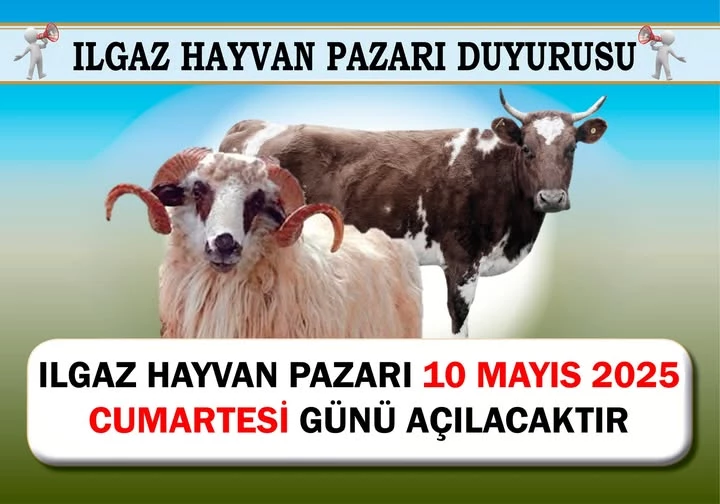 Ilgaz Hayvan Pazarı Duyurusu