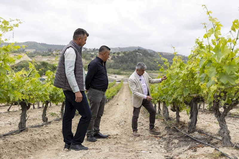 Mersin Büyükşehir’in Üreticilere Her Konuda Desteği Devam Ediyor