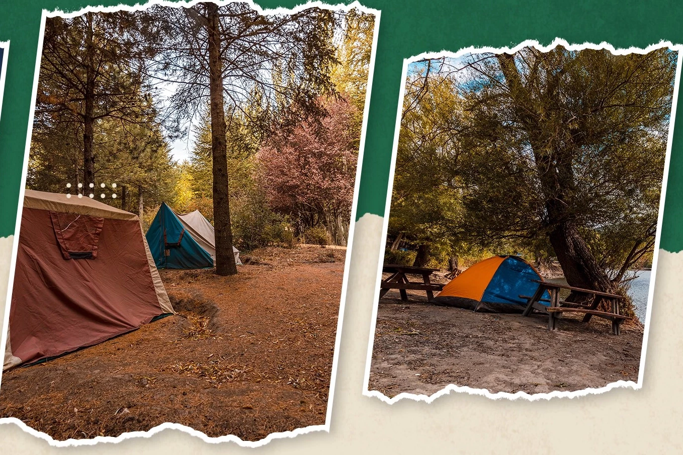 Aile bağları doğada güçleniyor