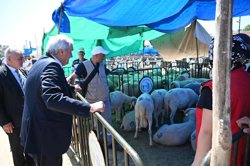 -BAŞKAN BAKKALCIOĞLU