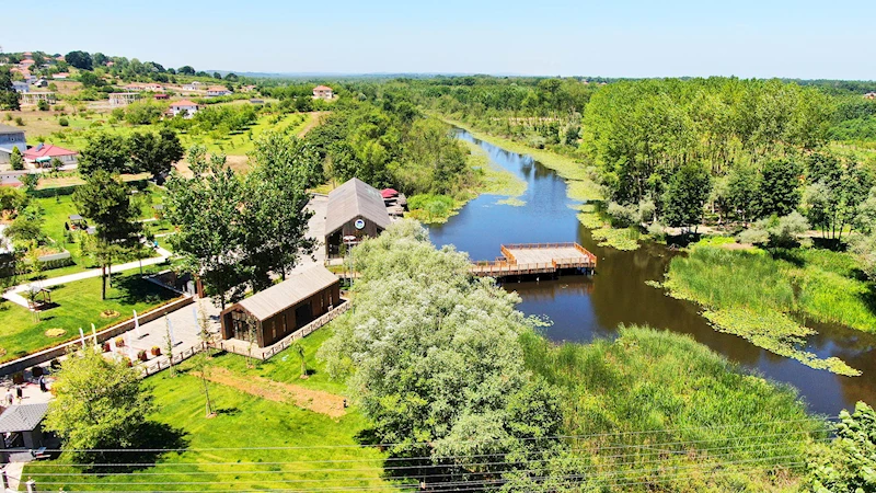 Sakarya’nın tabiat cenneti bayramda ziyaretçi rekoru kırdı