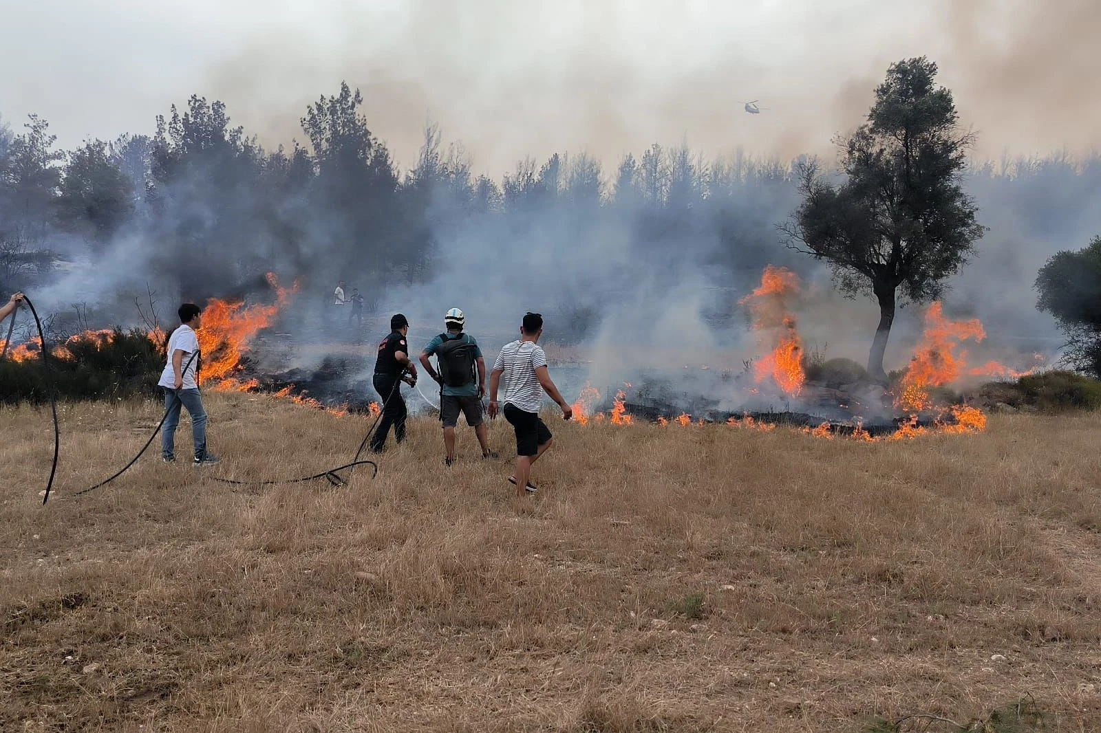 Muğla Büyükşehir ekipleri 6 Ayda 380 anız yangınına müdahale etti