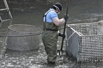 ISLAK MENDİLLER ATIK SU ALTYAPISINI TEHDİT EDİYOR