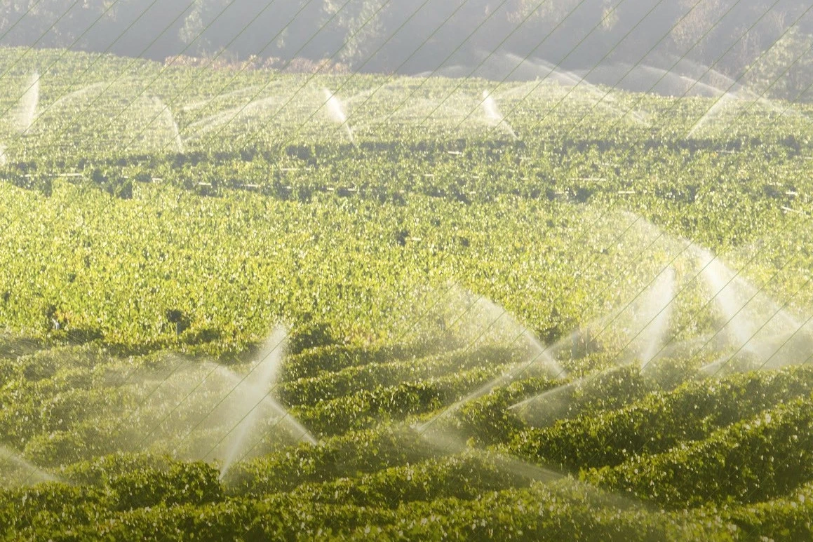 7 bin 160 tarımsal projeye 10,2 milyar TL