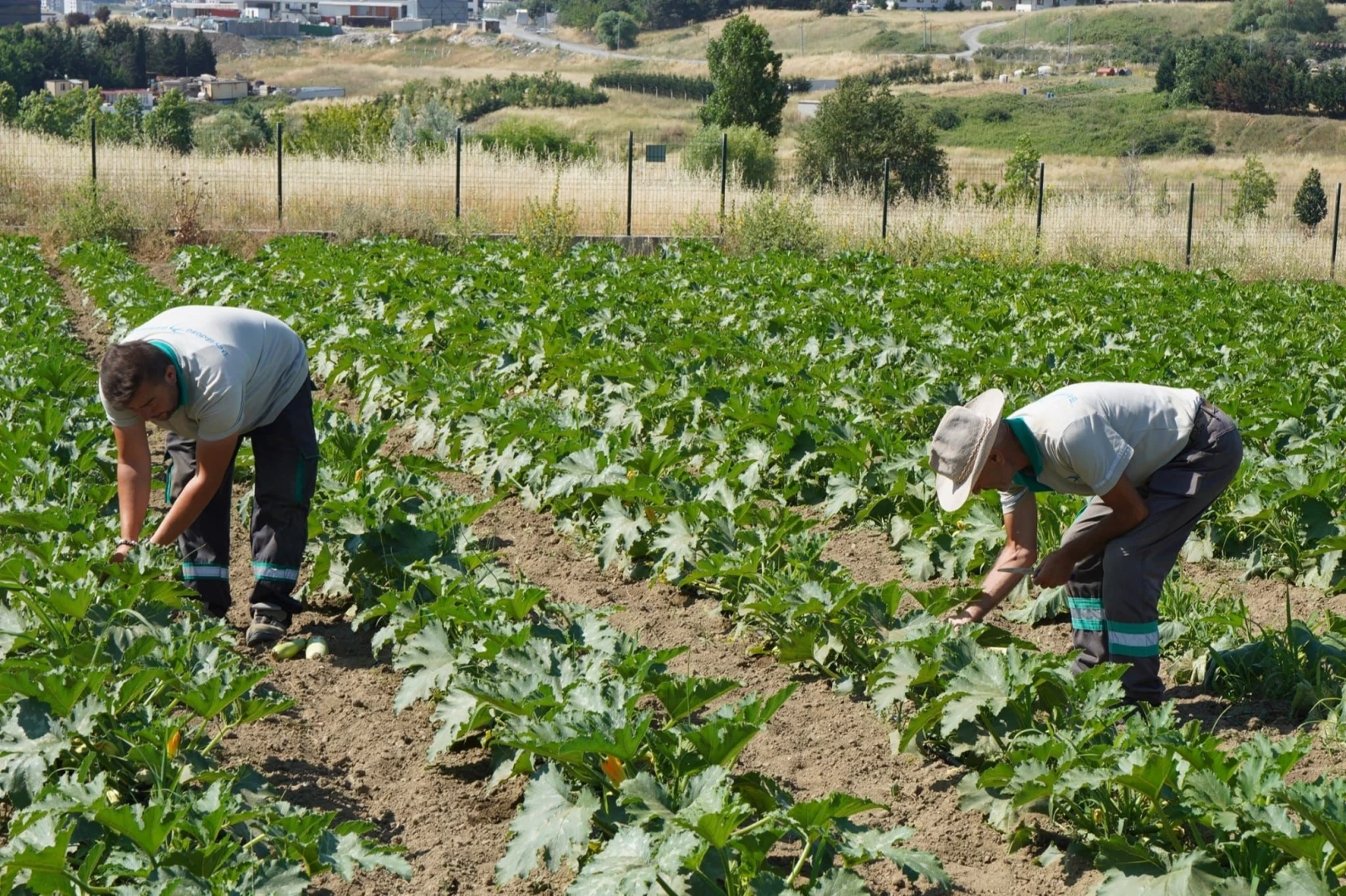 İstanbul Beylikdüzü