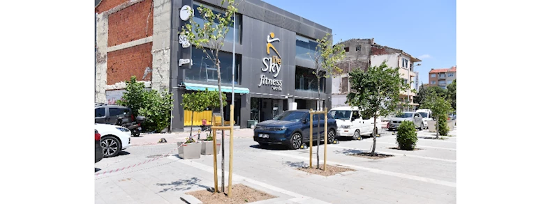 Risk Teşkil Eden Ağaçlar Kaldırılarak Yeni ağaçlar Dikiliyor