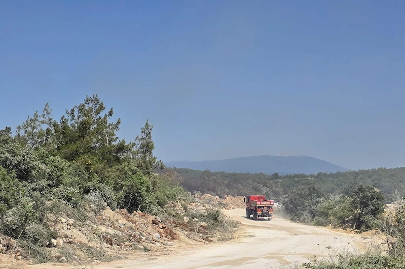 Nilüfer’de yangın başarıyla söndürüldü