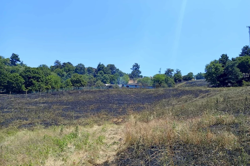 Dağyenice’de yangın söndürüldü