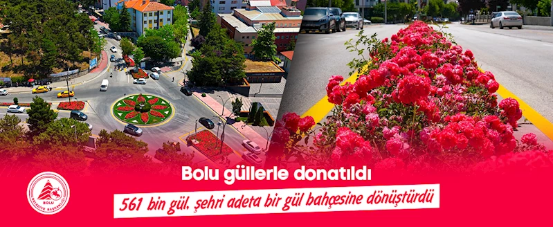 Bolu güllerle donatıldı