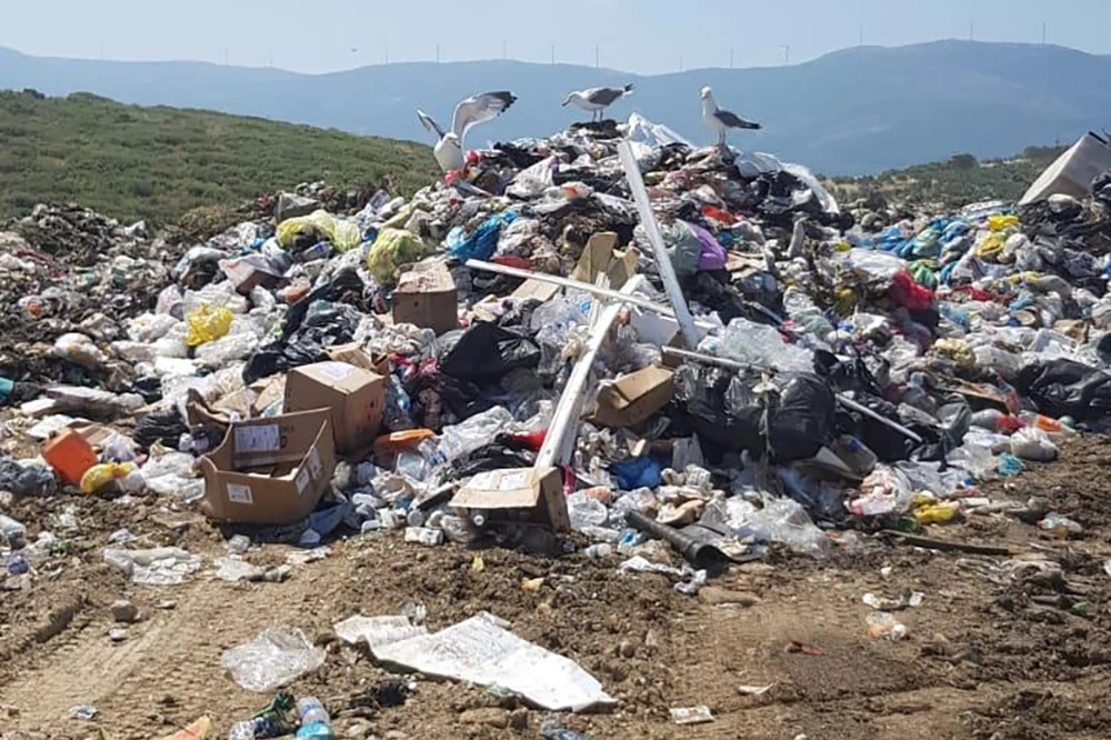 İzmir Büyükşehir