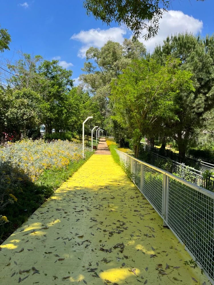 İSTANBULLU YAŞAM VADİLERİYLE NEFES ALIYOR