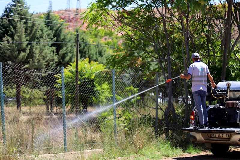 YEŞİL ALANLARDA İLAÇLAMA ÇALIŞMALARI ARALIKSIZ DEVAM EDİYOR