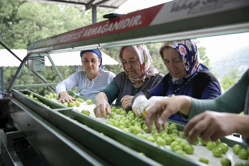 Büyükşehir’in Makine Destekleri İle Üretici Kazanıyor, Kırsal Kalkınıyor