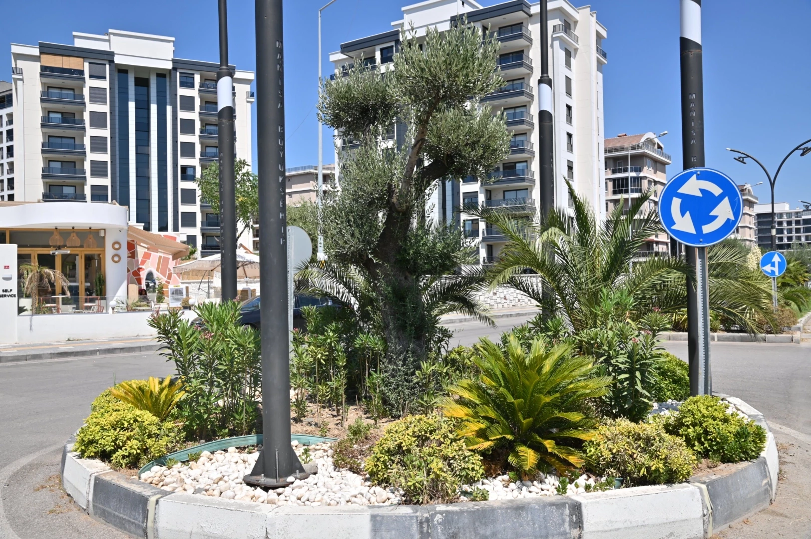 Manisa’da kurakçıl peyzajla su tasarrufu