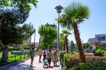 KÖPRÜBAŞI PALMİYELER VE ZAKKUMLARLA SÜSLENDİ