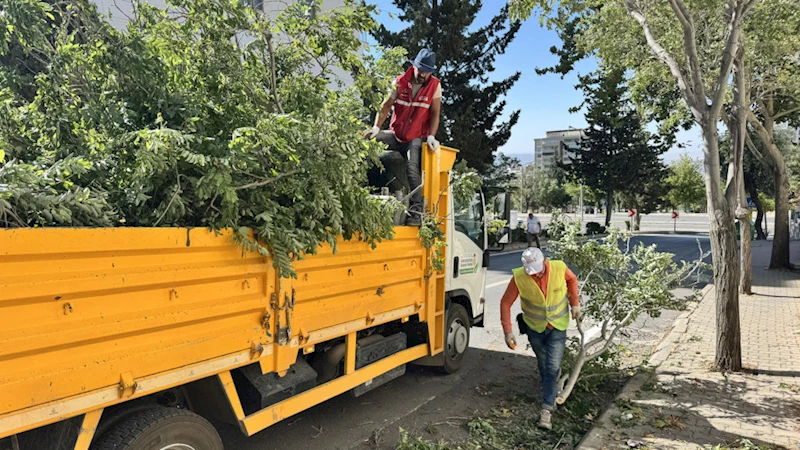 Büyükşehir, Fırtınanın Oluşturduğu Hasarları Ortadan Kaldırıyor