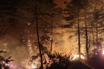 BÜYÜKŞEHİR’DEN GÖLPAZARI VE OSMANELİ’DEKİ ORMAN YANGININA DESTEK