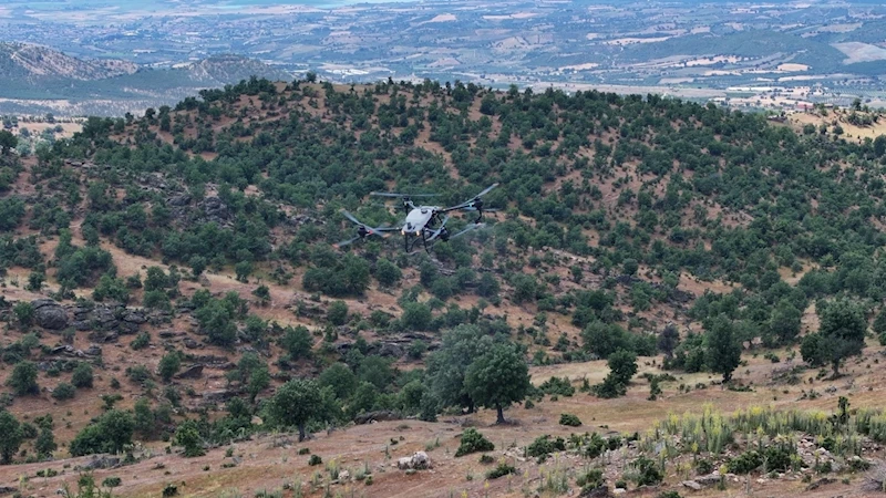 Köprübaşı’nda Çekirge İstilasına Karşı Mücadele