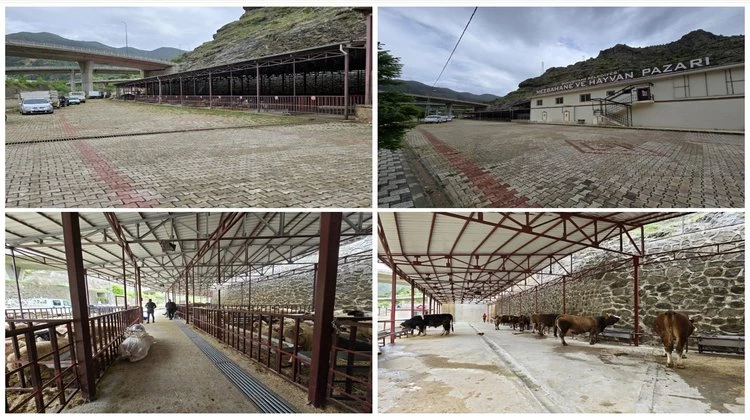 KURBAN BAYRAMI ÖNCESİNDE HAYVAN PAZARINDA VE MEZBAHADA HAZIRLIKLARINI TAMAMLADI
