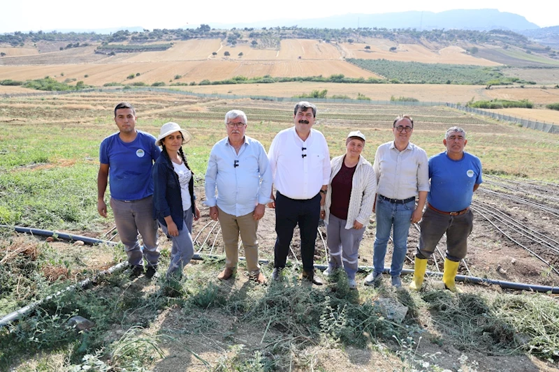 BAŞKAN YILDIZ,  SALEP HASADINA KATILDI
