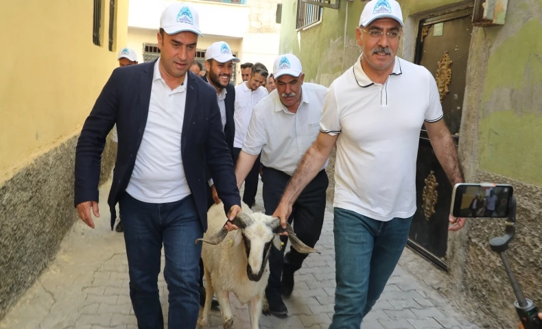 Yetim Ailelerimize Canlı Kurbanlık Dağıttık