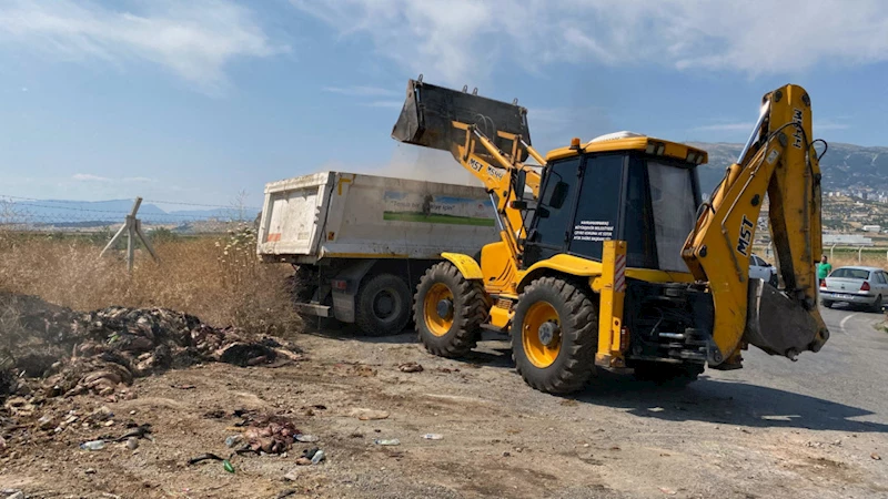 Büyükşehir, Şehri Hayvansal Atıklardan Temizliyor
