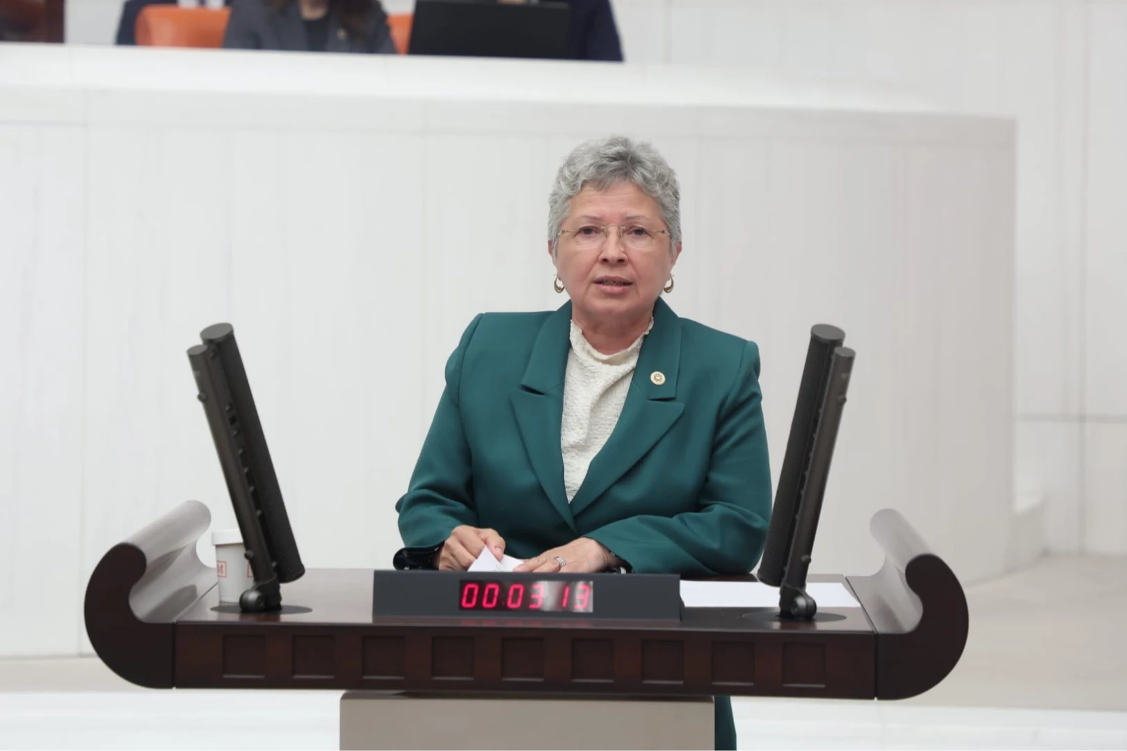 CHP’li Yontar: Zeytini kömüre feda etmek geleceğe ihanettir!