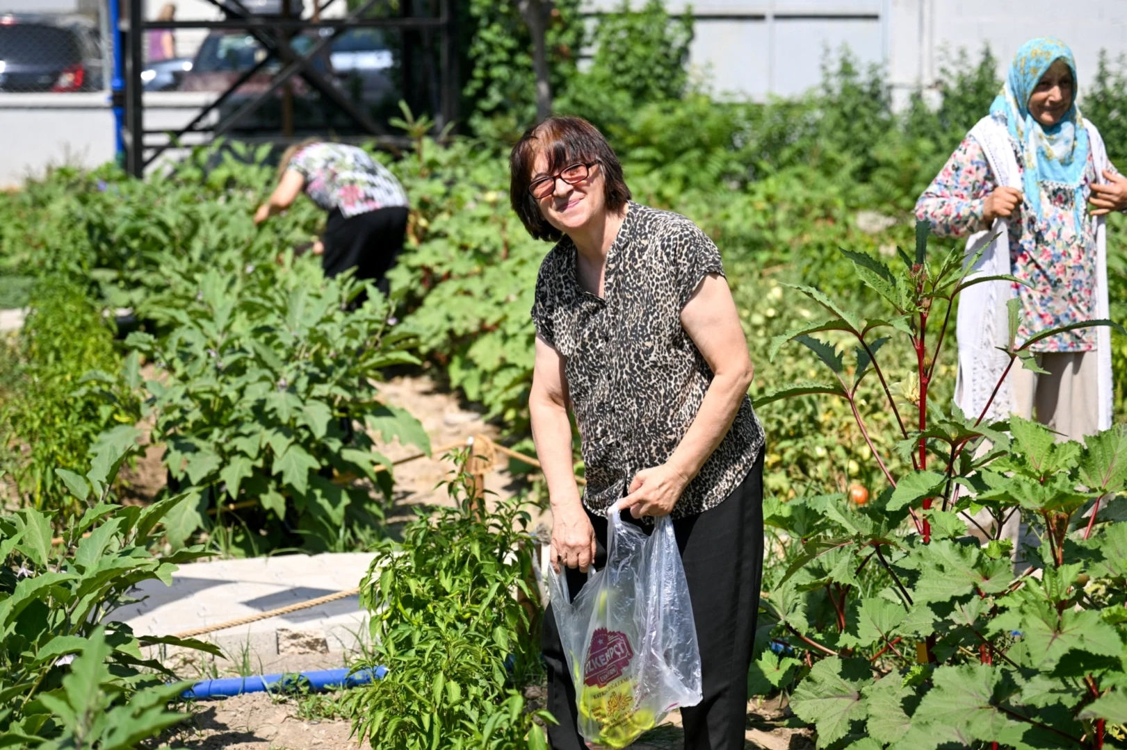 Bornova’da Kent Bostanları’nda hasat sevinci