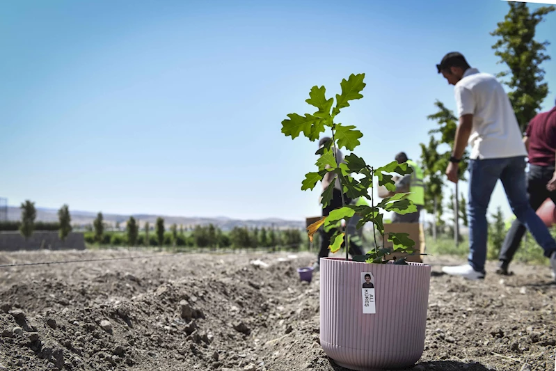 MİNİKLERİN YETİŞTİRDİĞİ MEŞE PALAMUTLARI ATA ÇİFTLİĞİ’NDE DOĞAYLA BULUŞTU