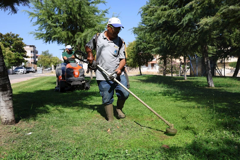 YEMYEŞİL BİR YUNUSEMRE İÇİN ÇALIŞMALAR SÜRÜYOR