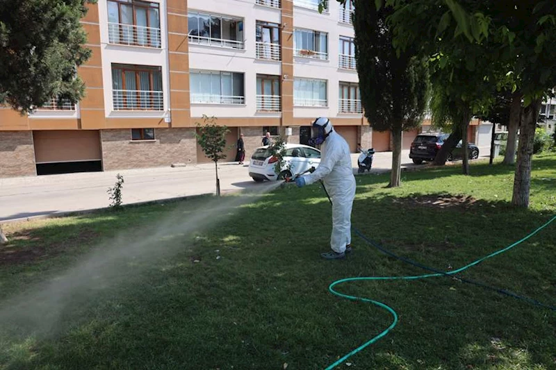 YAZ AYLARINDA ARTAN KENE TEHLİKESİNE KARŞI ODUNPAZARI BELEDİYESİ’NDEN ETKİLİ MÜCADELE