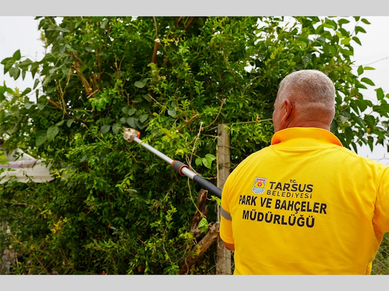 TARSUS BELEDİYESİ’NDEN ÇAVDARLI MAHALLESİ’NDE TEMİZLİK VE BAKIM ÇALIŞMASI