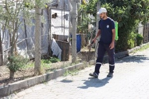 YABANİ OTLAR İLAÇLANARAK KURUTULUYOR