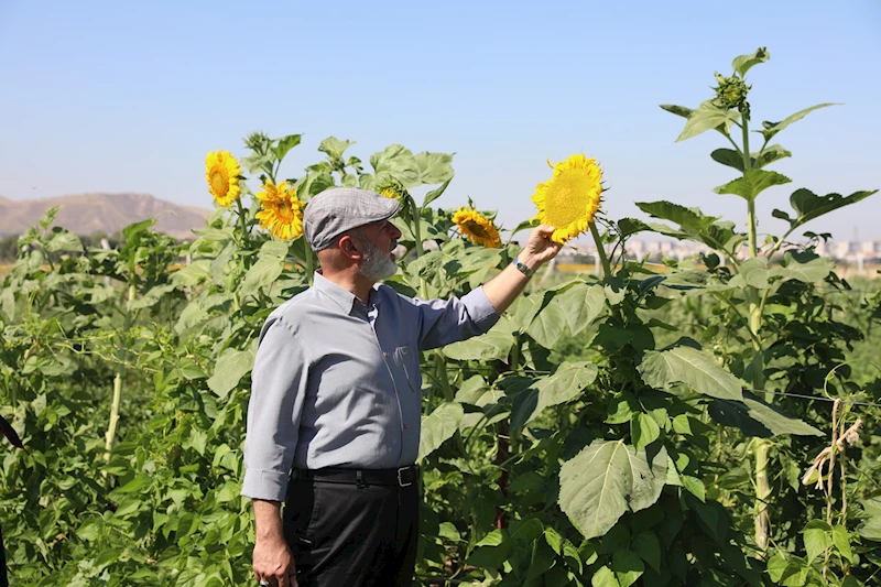 BAŞKAN ÇOLAKBAYRAKDAR: “ŞEHRİN KALBİNDE TARIMLA, ÜLKEMİZİN TARIMSAL GELECEĞİNİ ŞEKİLLENDİRİYORUZ”
