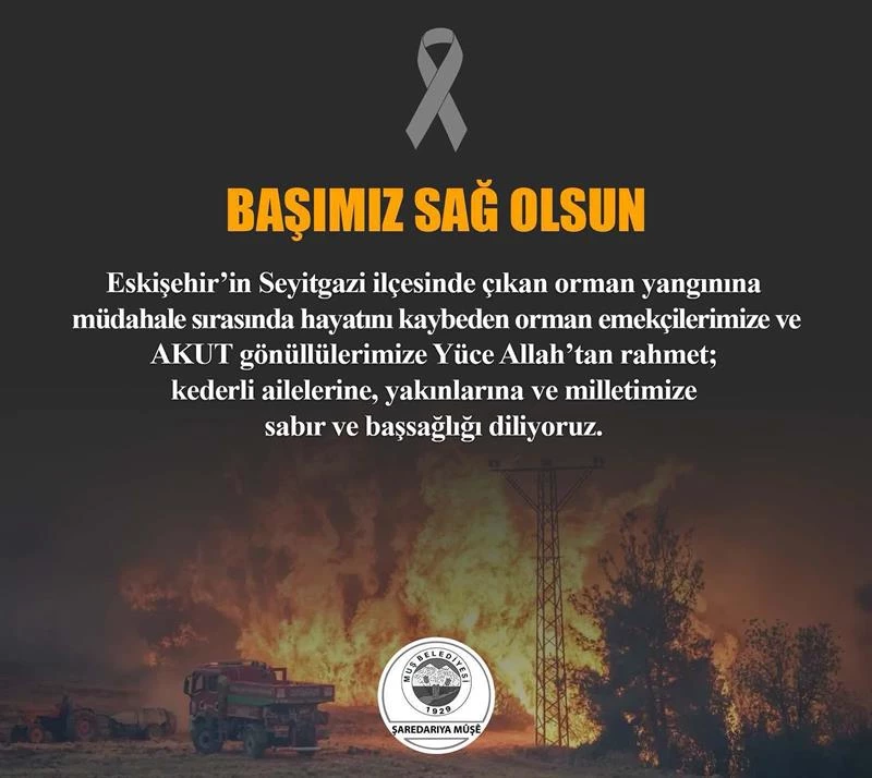 BAŞIMIZ SAĞOLSUN