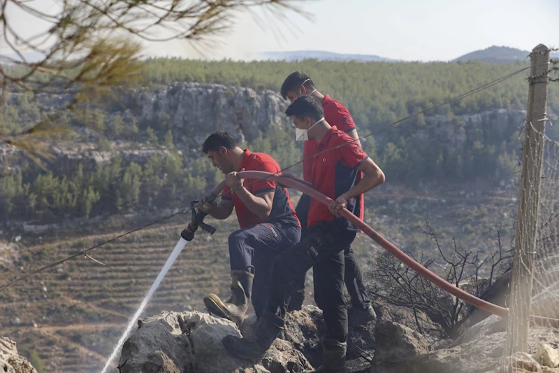 Silifke’de Çıkan Orman Yangınına Büyükşehir Ekipleri Müdahale Ediyor