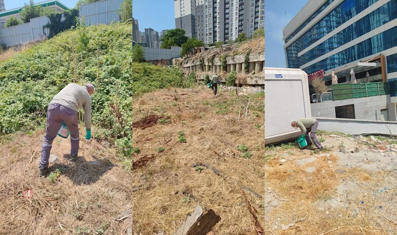 ESENYURT’TA KEMİRGEN SORUNUNA KARŞI İBB’DEN HIZLI MÜDAHALE