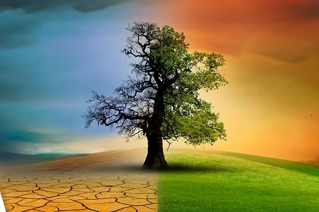 Türkiye’nin ilk İklim Kanunu TBMM’de yasalaştı