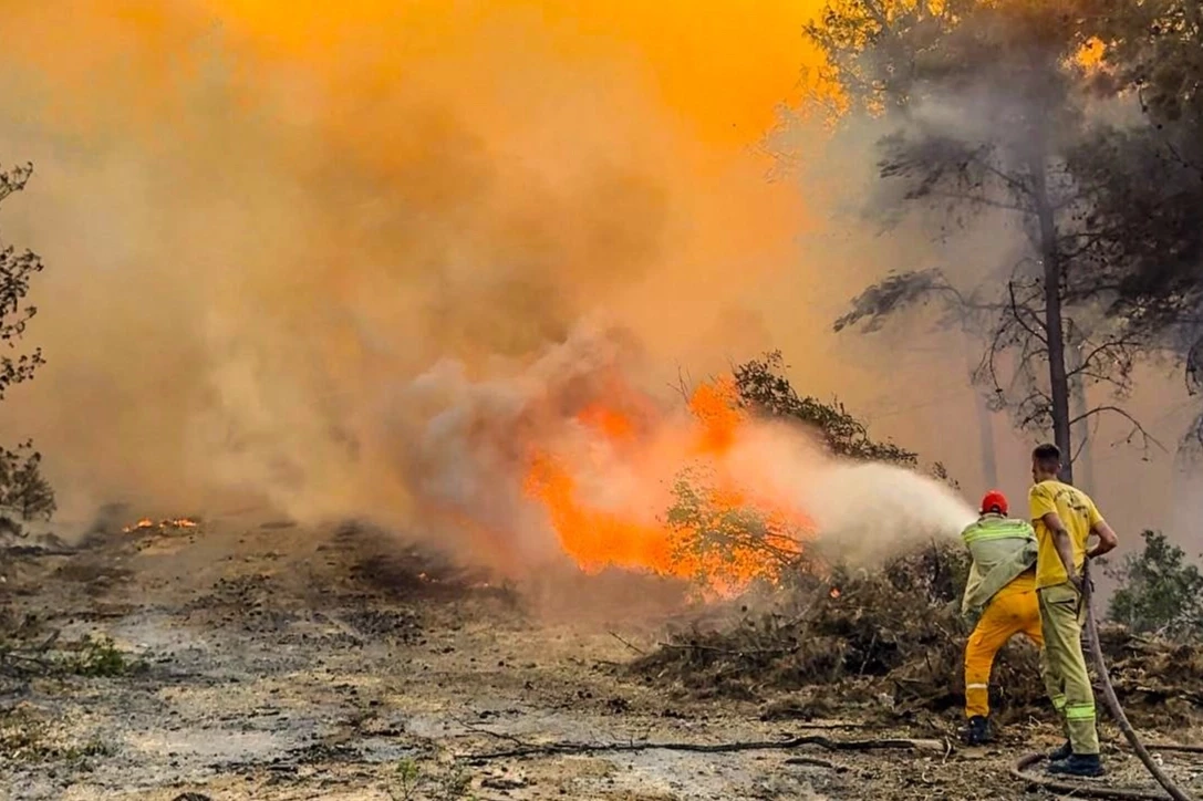 OGM: 86 milyonun dikkati şart!